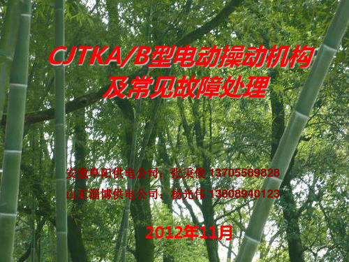 CJTK隔离开关机构