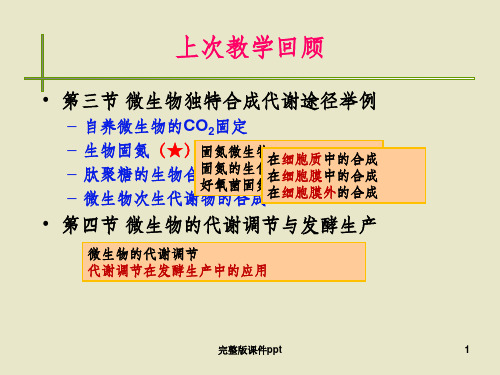 《微生物的生长》PPT课件 (2)