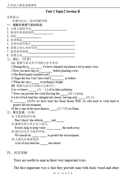 【课课练】仁爱九年级上册Unit2-Topic2-SectionD-课课练