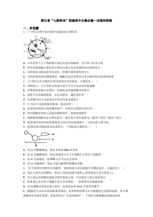 浙江省“七彩阳光”联盟高中生物必修一试卷和答案