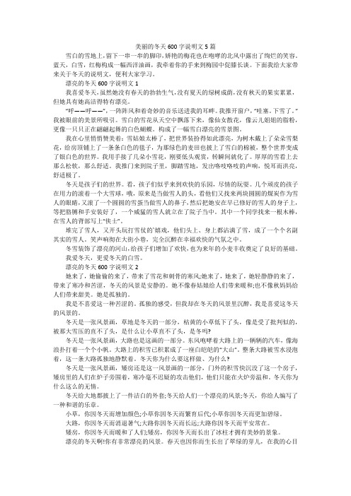 美丽的冬天600字说明文5篇