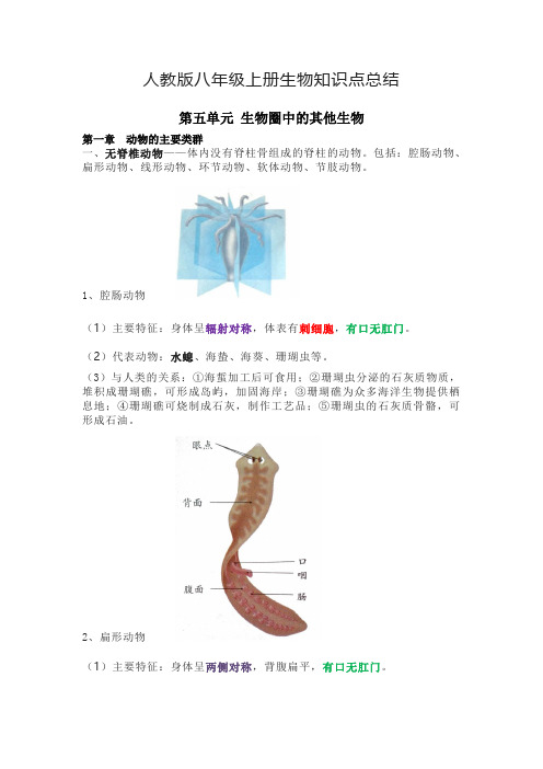 人教版八年级上册生物知识点总结