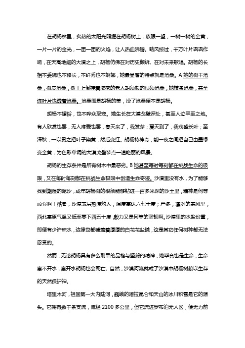 人教版八年级语文上册第六单元综合与测试复习试题一(含答案) (16)