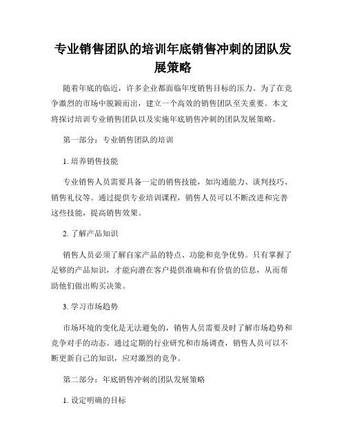 专业销售团队的培训年底销售冲刺的团队发展策略