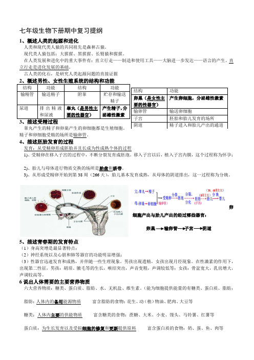 人教版生物七年级下册期中考试复习提纲