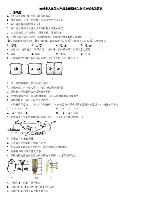 沧州市人教版七年级上册期末生物期末试卷及答案