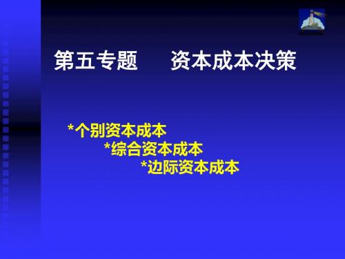 资金成本决策.详解