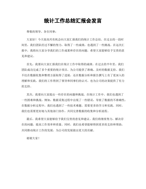 统计工作总结汇报会发言