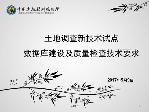 第三次全国土地调查新技术试点数据库建设及质量检查技术要求 ppt课件