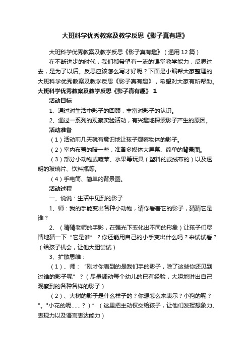 大班科学优秀教案及教学反思《影子真有趣》