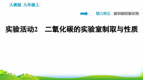 人教版九年级化学第六章实验活动2 二氧化碳的实验室制取与性质 习题课件(25张PPT)