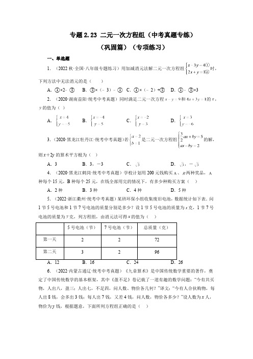 2.23 二元一次方程组-中考真题专练 浙教版数学七年级下册基础知识讲与练巩固篇(含答案)