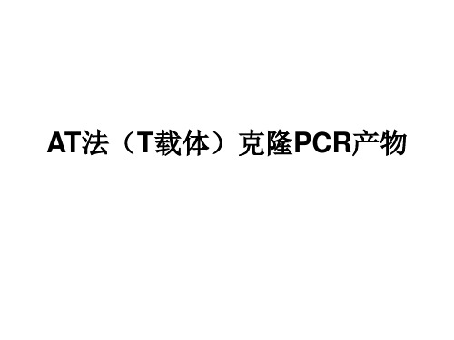 实验三 AT法(T载体)克隆PCR产物