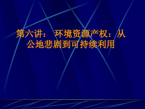 第六章环境资源产权理论