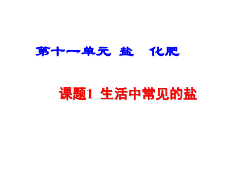 人教版九年级下册化学 第十一单元 盐 化肥 《生活中常见的盐》参考课件