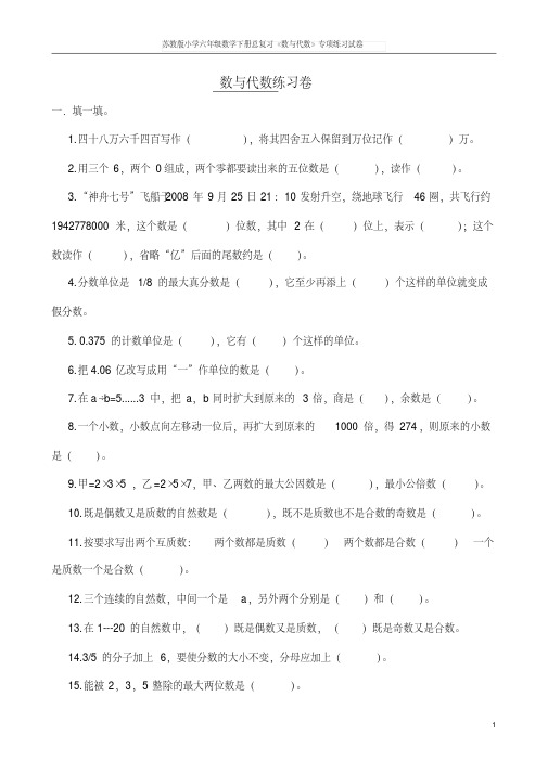 苏教版小学六年级数学下册总复习《数与代数》专项练习试卷