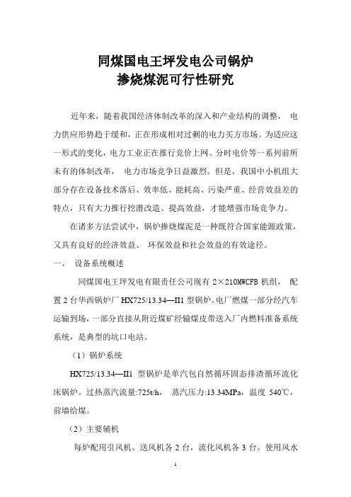 煤泥掺烧可研