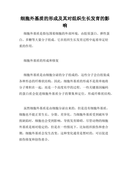 细胞外基质的形成及其对组织生长发育的影响