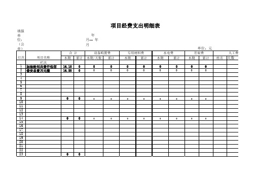 项目经费支出明细表001