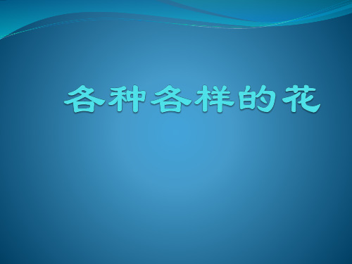 《各种各样的花》教科版科学PPT下载1