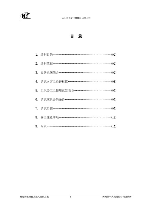 励磁系统检查及投入试验方案