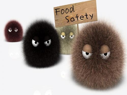 food safety 食物安全