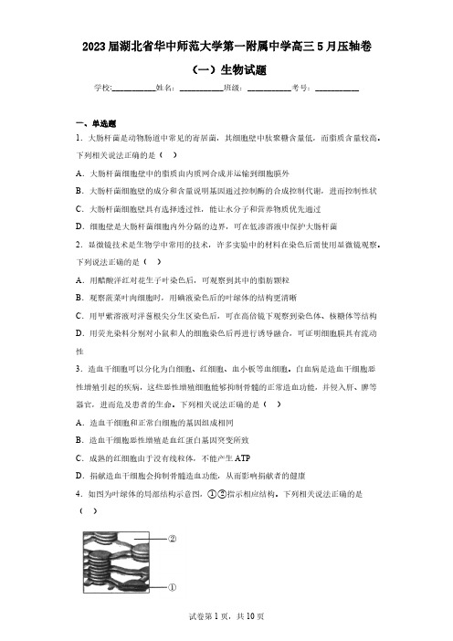 2023届湖北省华中师范大学第一附属中学高三5月压轴卷(一)生物试题(含解析)