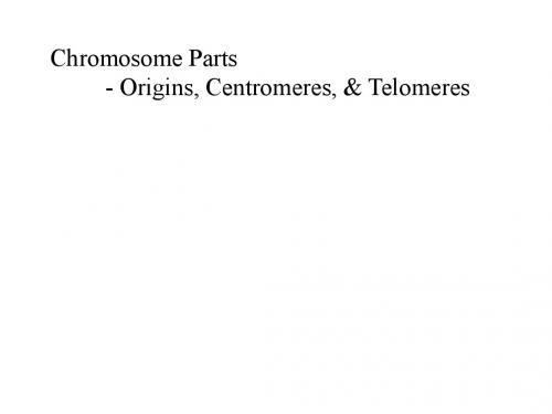 端粒和端粒酶telomeres and telomerase