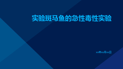 实验斑马鱼的急性毒性实验