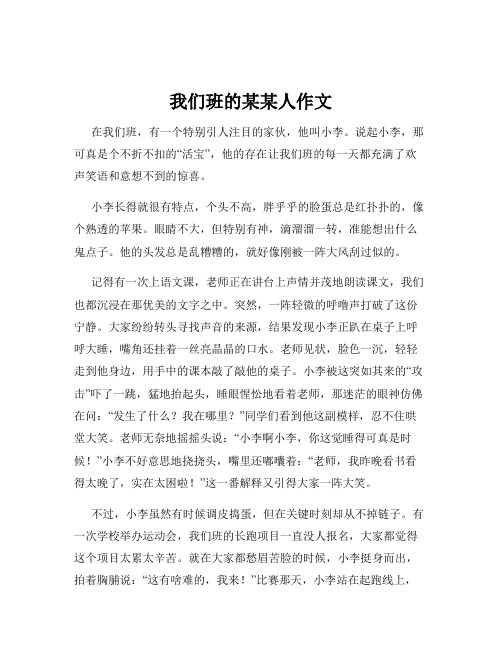 我们班的某某人作文