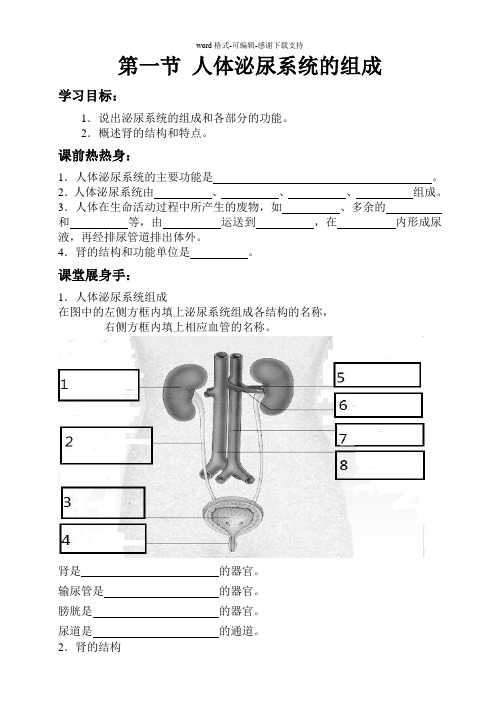 人体泌尿系统的组成-学案