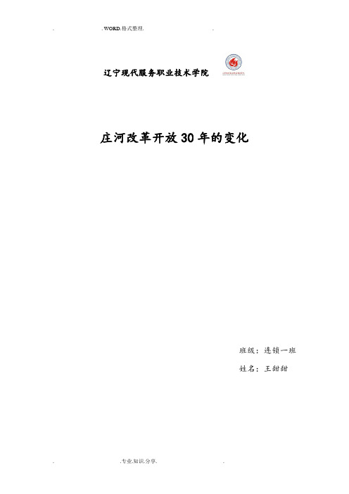 庄河改革开放30年的变化