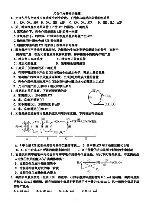 光合作用基础训练题