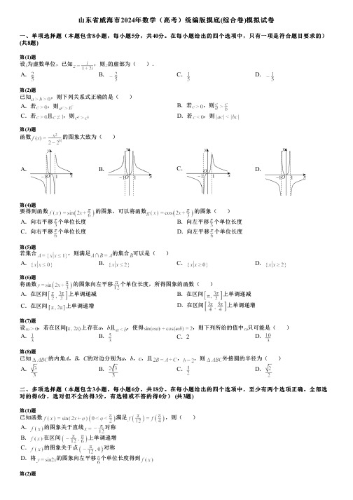 山东省威海市2024年数学(高考)统编版摸底(综合卷)模拟试卷