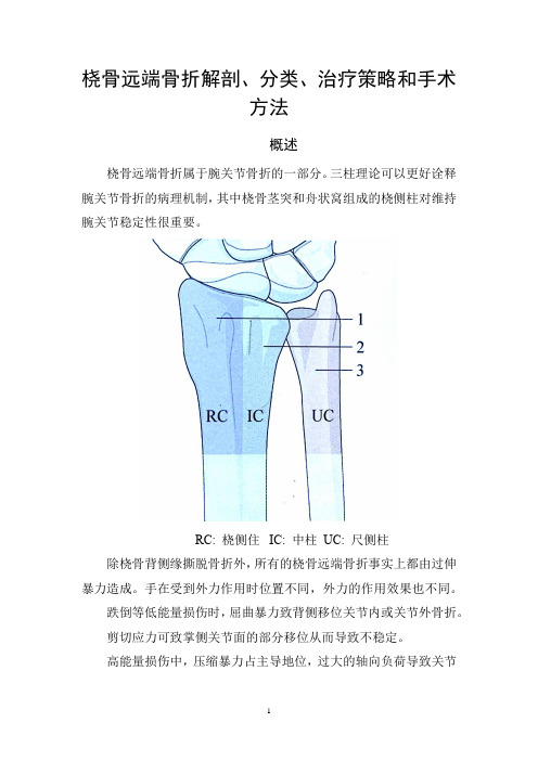 桡骨远端骨折解剖、分类、治疗策略和手术方法