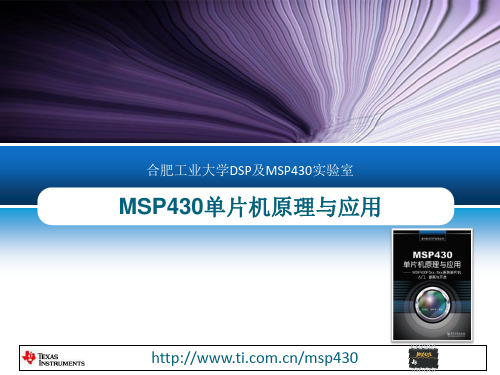 第9章MSP430单片机应用系统设计实例