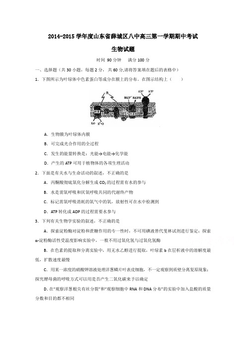 山东省枣庄第八中学2015届高三上学期期中考试生物试题及答案