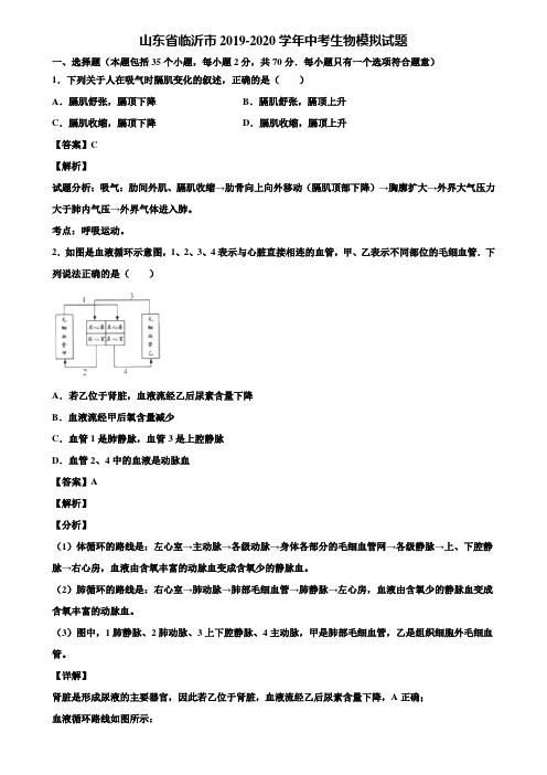 山东省临沂市2019-2020学年中考生物模拟试题含解析