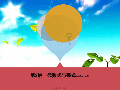 中考数学 第一部分 基础知识过关 第一章 数与式 第2讲 代数式与整式课件