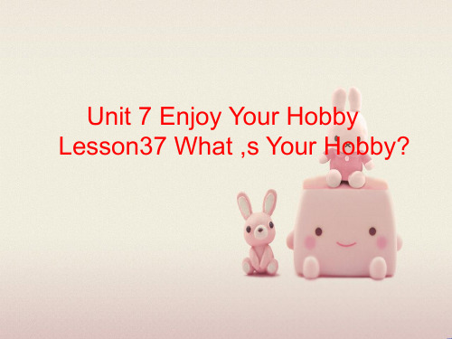 2022年冀教版《Lesson37 What’s Your Hobby 》课件 (3)