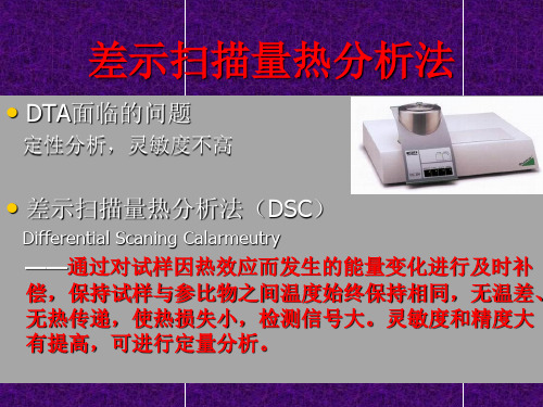 差示扫描量热分析(DSC)