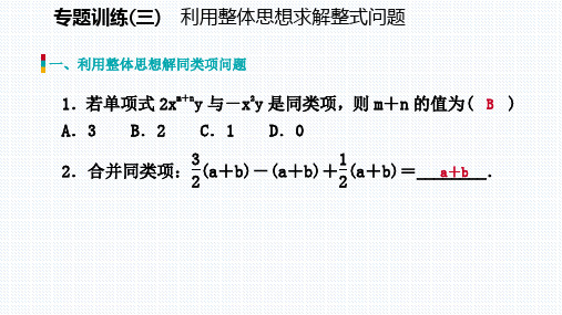 专题训练利用整体思想求解整式问题