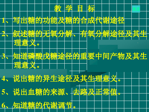 生化教案糖代谢教案