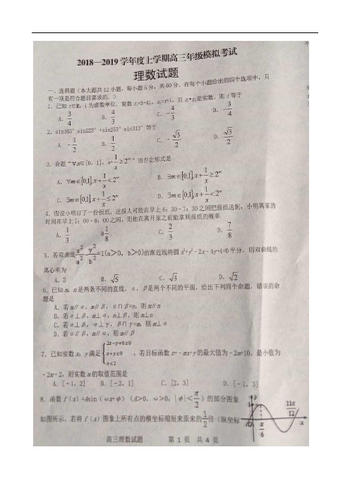 河南省周口市西华县2019届高三1月模拟考试数学(理)试题.doc_