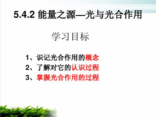 人教版生物必修一《能量之源——光与光合作用》同步ppt课堂课件