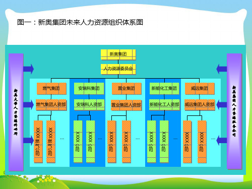 IBM-新奥燃气控股集团—图表