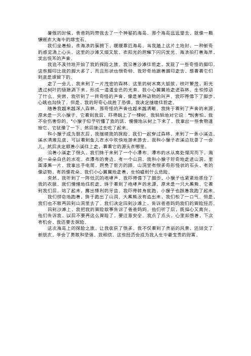 我在海岛上的探险故事