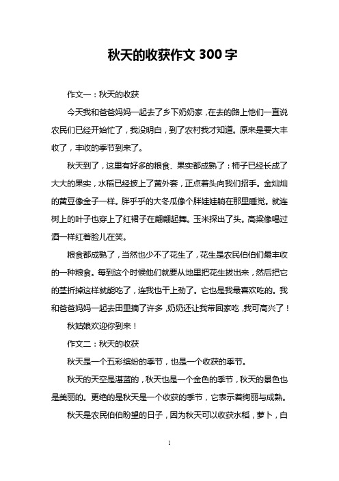 秋天的收获作文300字