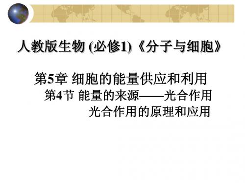 光合作用的原理和应用说课课件