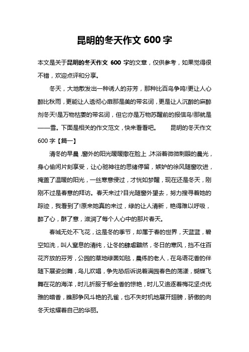 昆明的冬天作文600字